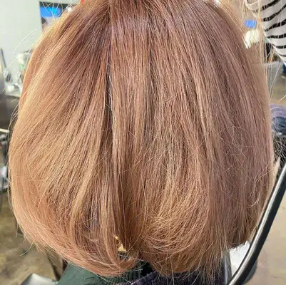 Back view of light mushroom brown bob with pink undertones