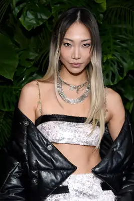 Soo Joo Park ombre hair