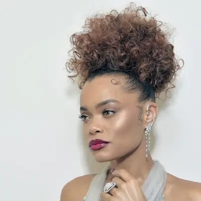 Andra Day wears a puff hairstyle