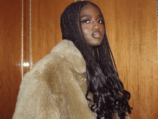 Las trenzas de rizos franceses son un giro divertido en el estilo de protección clásica