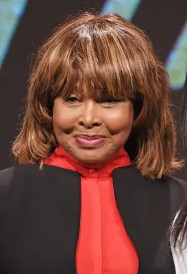 Tina Turner with a shag hairstyle