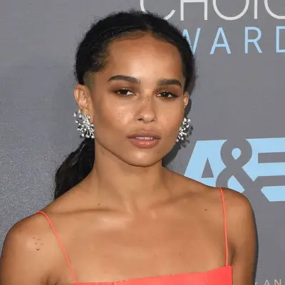 Zoe Kravitz wears a middle-part micro braid ponytail