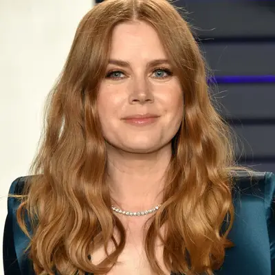 Cinnamon Hair Color Amy Adams