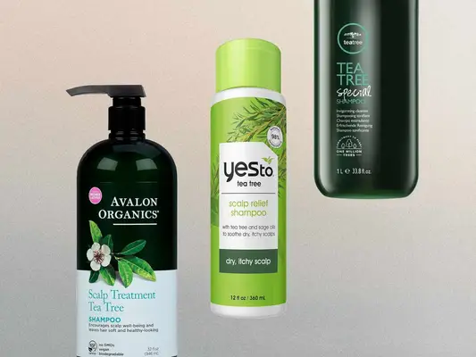Collage of tea tree oil shampoos, including picks from Avalon Organics, Yes To, and John Paul Mitchell, on a gray-beige background