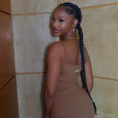 Goddess braids put into two large dutch braids