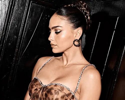 A braided updo hairstyle. 