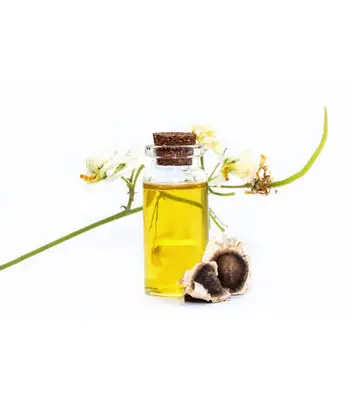 Moringa oleifera oil with seeds and leawes. Isolated on white background.