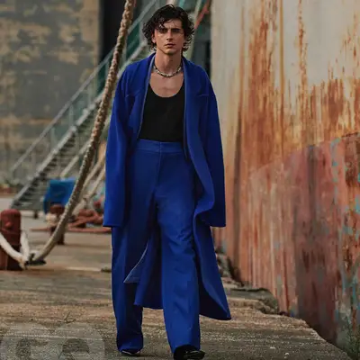 Timothee Chalamet with wet look hair