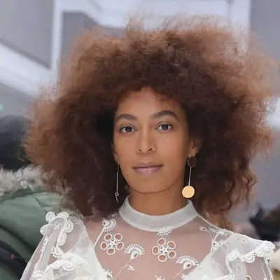 Cinnamon Hair Color Solange Knowles