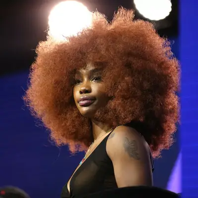 Natural Hair Colors Big Red SZA