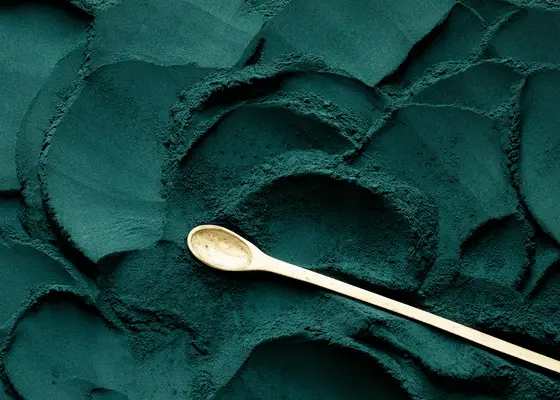 close up of blue spirulina powder