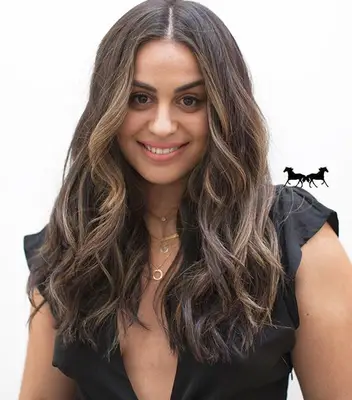 lowlights for brown hair: honey hair