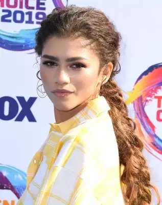 zendaya low ponytail with volume