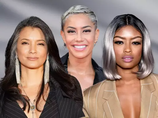 Celebrities with Gray Hairstyles