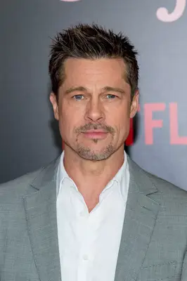 Brad Pitt beard