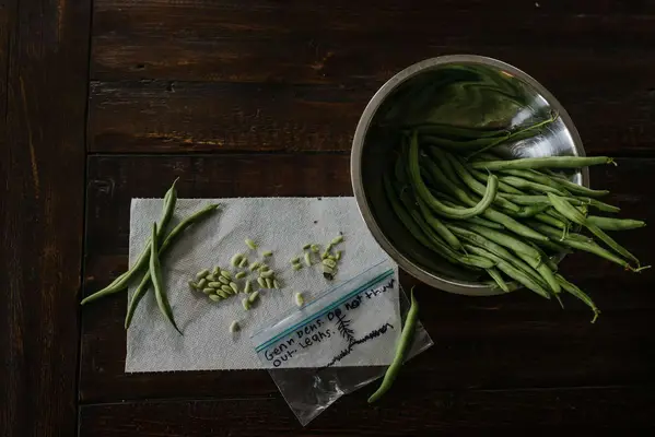 bowl of green beans and a note