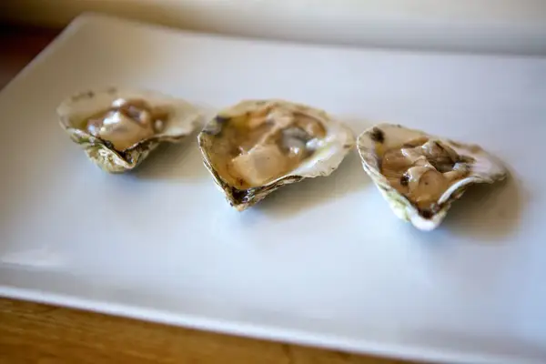 Oysters