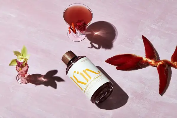 bella hadid with kin euphorics