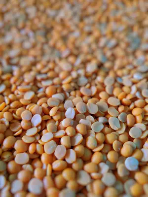 Lentils 