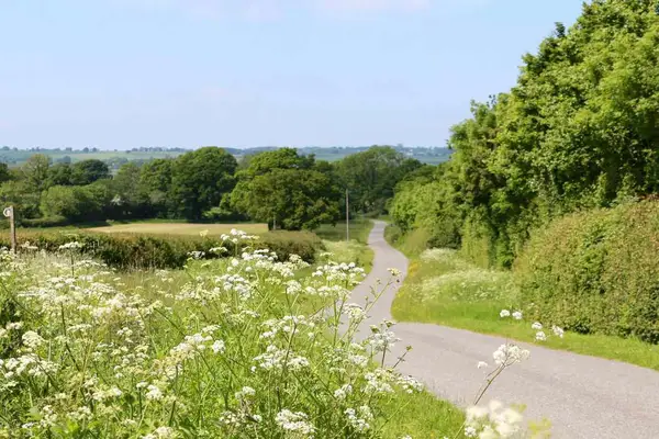 Middle Piccadilly nature path