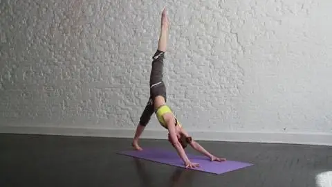 „Stworzyłem rejestr dla mojego psa — oto, co się stało”