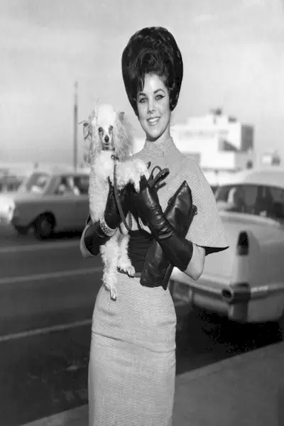 cantante de rock and roll elvis presley