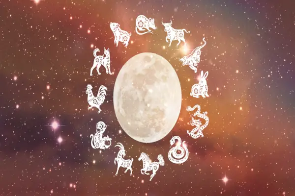 Come trovare il tuo segno zodiacale cinese, secondo gli esperti