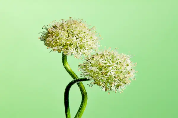 How To Optimize Your Personality Type