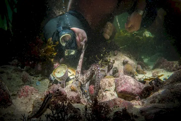 Ile pieniędzy zarobił Woodstock '99? Zobacz ceny biletów, opłaty za produkcję i majątek Michaela Langa