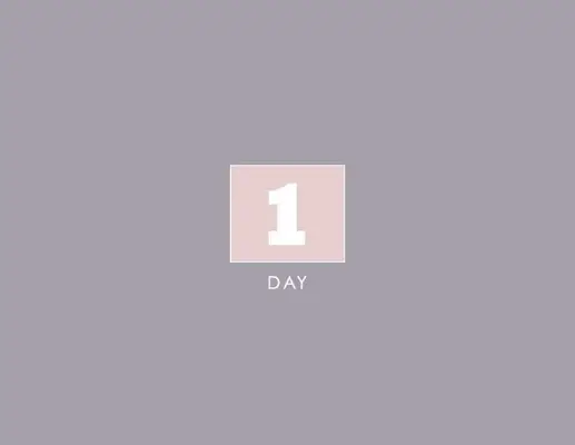 1 day