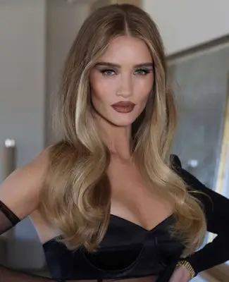 Rose Huntington wears visible black winged eyeliner with sculpted cheekbones and deep nude lipstick