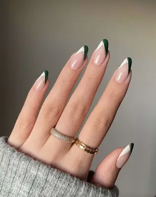 Nude manicure with white and green chevron french tips