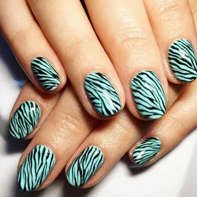 Zebra print nails with a Tiffany blue base.