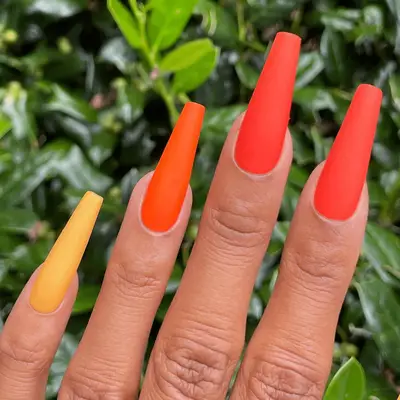 blue modern french with squiggles