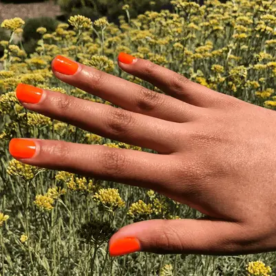 Close up of a mauve manicure on short oval nails