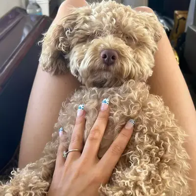 Francuskie wskazówki Millie Bobby Brown w kropki nie mogą być ładniejsze