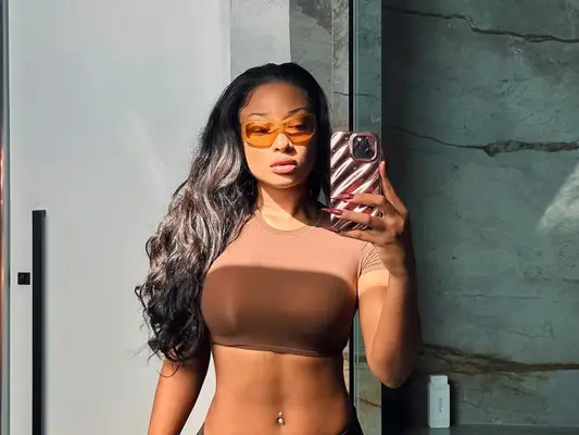 Megan thee stallion mirror selfie