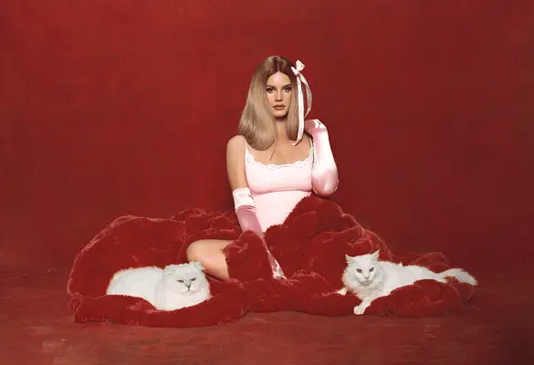 Lana Del Rey in the Skims