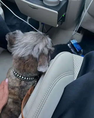 Jennifer Aniston and her dog. 