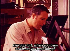 Aiden de Sex and the City