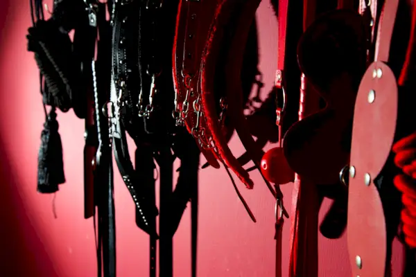 Sex Toys Hanging On Red Wall In Store