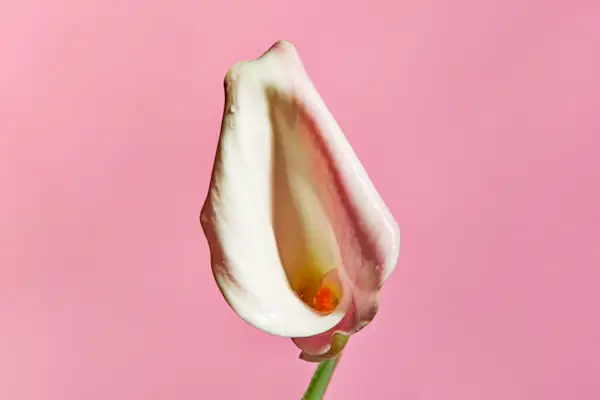 How To Find Your Own G-Spot