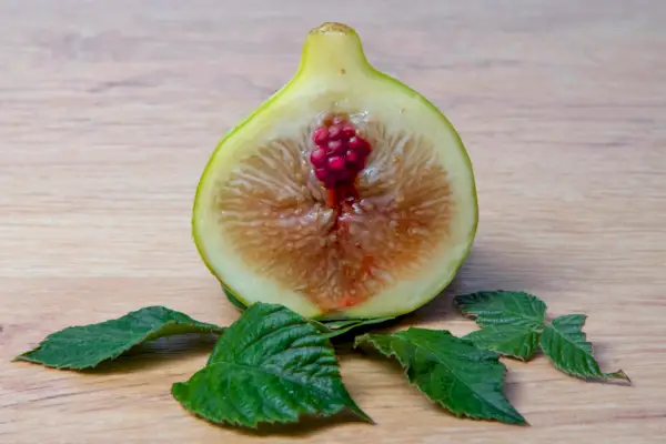 A fig and a blackberry. Fruits with a little humor, fruits for sex education.