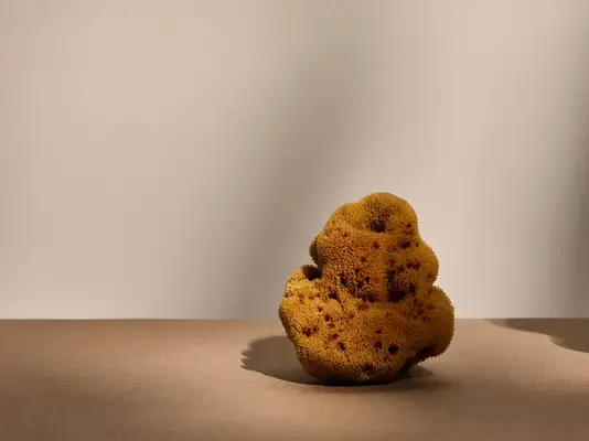 Spikule to najnowszy podwodny składnik, który uderzył w pielęgnację skóry - oto co musisz wiedzieć