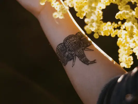 elephant tattoo on forearm against flower background