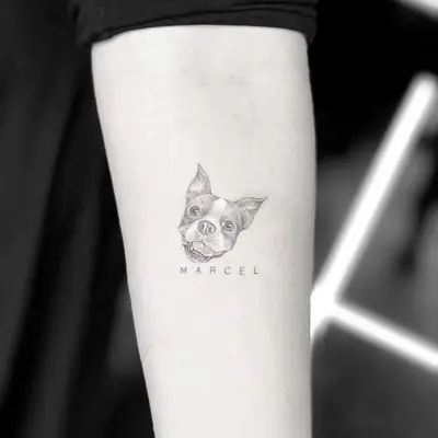 Dog portrait and name Marcel tattoo on arm