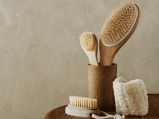 Composed image of varying sized dry brushes and a loofah sponge