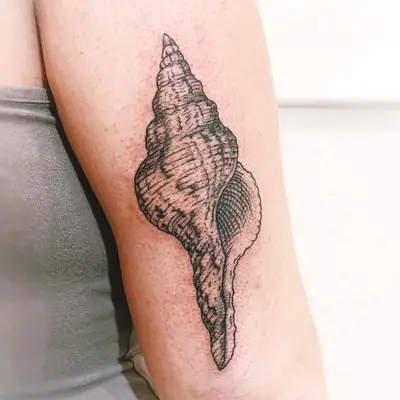image of black ink fine line tattoo of shell