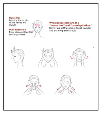 Facial Massage Technique