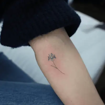 Arm Tattoo of Still Life lineart drawing